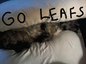 leafskeeba